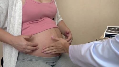 Pregnant Woman and Gynecologist Doctor at Hospital