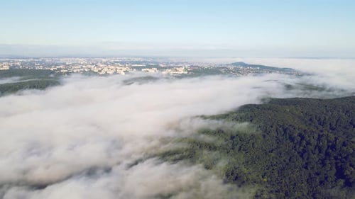 Morning Fabulous Fog Over the Green Forest Near the Big City. A Thick Fog Covered the Strip. Flight