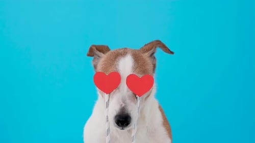 Dog with Hearts Instead of Eyes