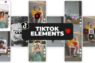 TikTok Elements
