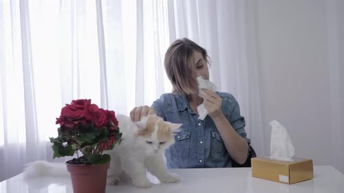 Woman with Allergies Petting Cat Indoors