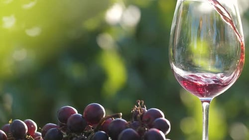 Pouring Wine