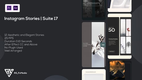 Histoires Instagram | Abstract Minimal | Suite 17 | MOGRT