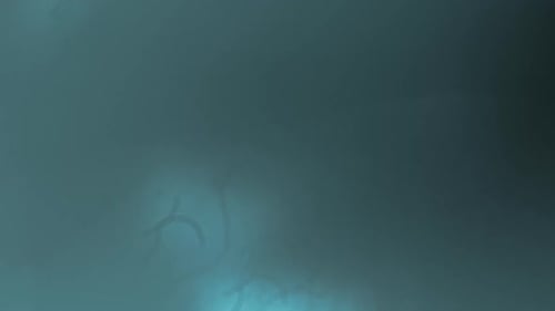 Transiciones de fugas de