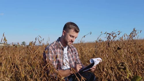 A Farmer or Agronomist Sits in the Middle of a Mature Soybean in a Field and Makes Notes on a Tablet