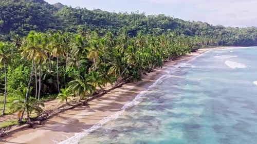 Idyllic island scene with azure water and palm trees on sandy beach; Caribbean