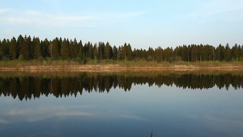 Lake Reflecting Calm Water and Green Forest