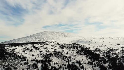 Aerial View of the Slopes of the Mountains Covered with Spruce Forest and the First Snow the South