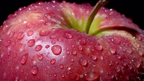 Nahaufnahme eines rot-grünen Apfels mit Wassertröpfchen Makroaufnahme. Der Apple dreht sich um seine Achse auf einem
