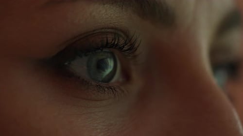 Programmer works at the computer