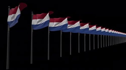 Fila de banderas de los Países Bajos con Alpha 4K