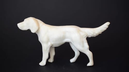 Dog 112