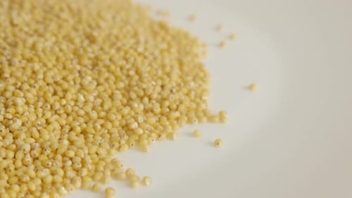 Pequeños granos de Panicum miliaceum, primer plano, inclinación lenta, 4K, 2160p, 30 fps, imágenes UltraHD - Super fo orgánico