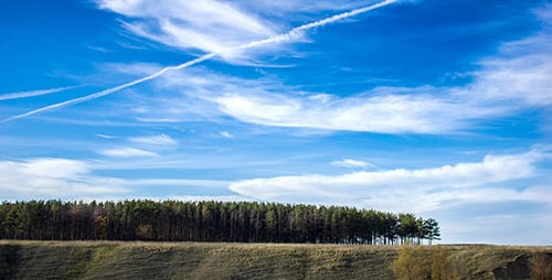 Pinèdes Et Nuages Dans Le Ciel Bleu Timelapse