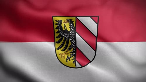 Waving Animated Flag with Coat of Arms and Stripes
