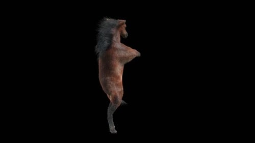 Dancing Horse Creature Performing Martial Arts Animation