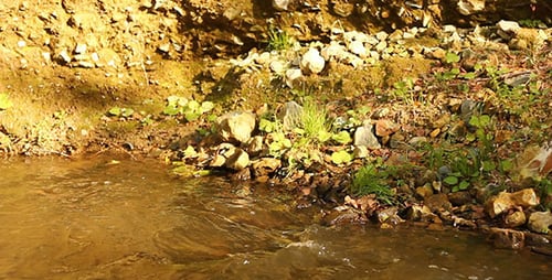 Flowing River