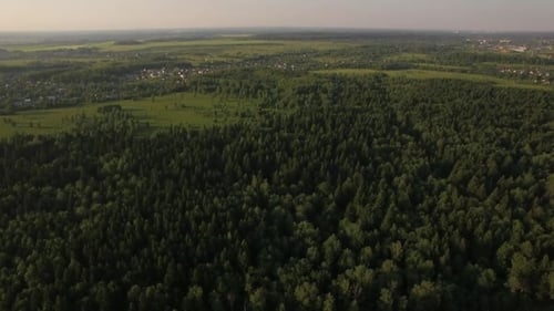Aerial Flight Above the Huge Green Forest, Russia