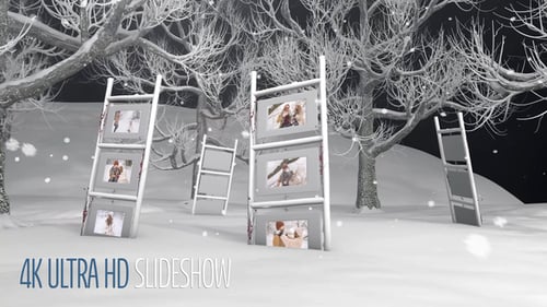 Magical Winter Photo Gallery