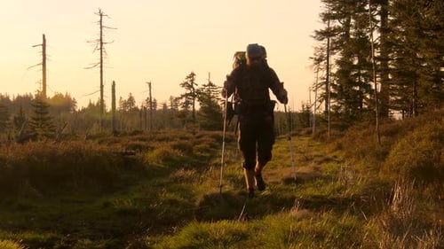 male hiker hiking with a backpack on a trail during beautiful sunset,