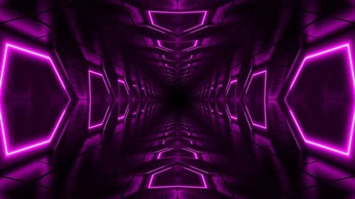 Bucle Pink Tunnel 4K