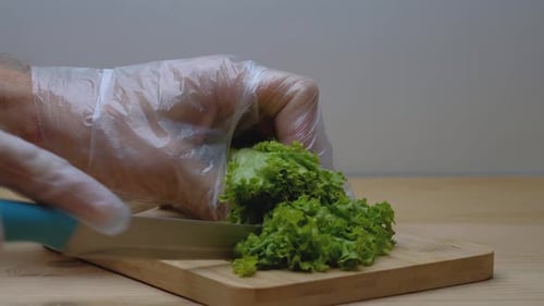 A chef in gloves cuts a fresh green salad with a knife. Food preparation.