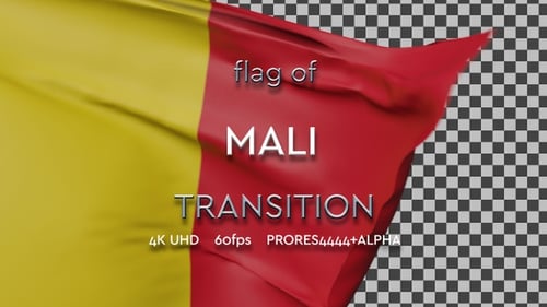 Realistic Flag Unfurling Transition Reveal