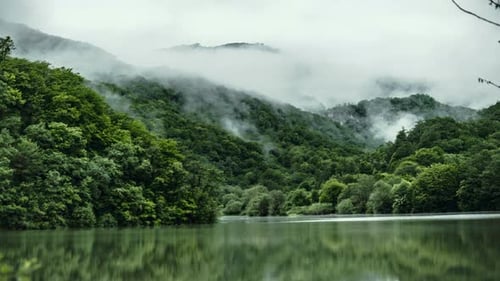 Mist on Lake