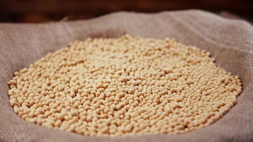 Raw Soy Bean Seed Food Organic Top View Texture High in Fiber Helps Prevent Cancer Supplementary