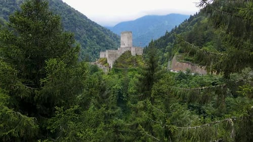 Castle Among The Trees