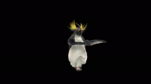 Penguin Dancing 4K