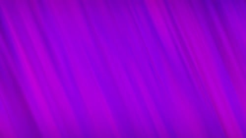 Abstract Fluid Purple Lines Animated Background Loop