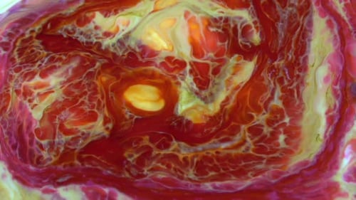 Swirling Red and Yellow Paint Abstractly