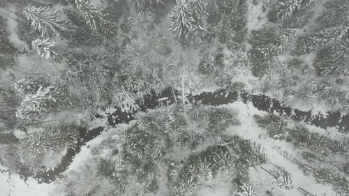 Top down aerial of small creek running through snow covered forest