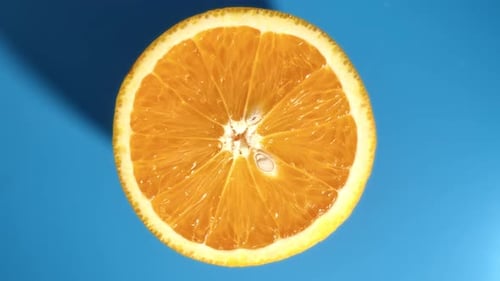 Rotation Fresh Appetizing Orange Circle Half Texture with Seed and Peel Top View Isolated on Blue