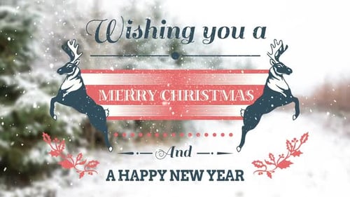 Festive Christmas and New Year Greetings