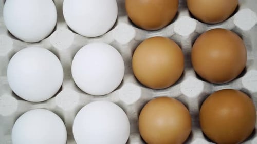 Raw Eggs in a Tray