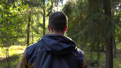 A Hiker Walks Through a Forest, Closeup From Behind