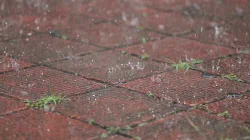 Fortes pluies