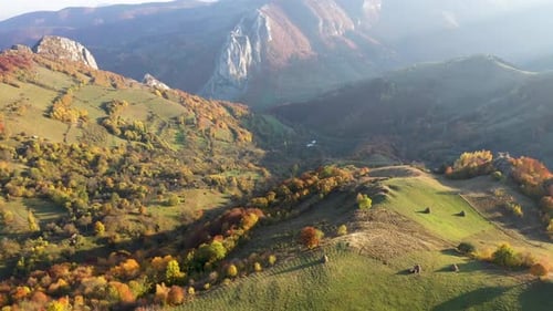 Flying Above Colorful Autumn Countryside Forest in the Mountains