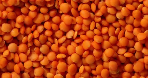 Red Lentils Filling Frame in Close Up Shot