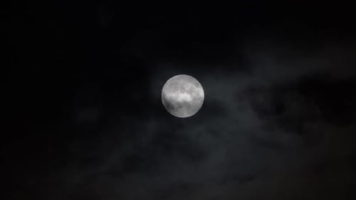 Moon
