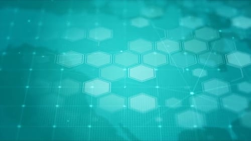 Dynamic Hexagon Grid Network for Technology and Corporate Backgrounds