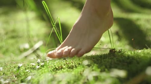 Bare Foot Steps on Mossy Green Ground