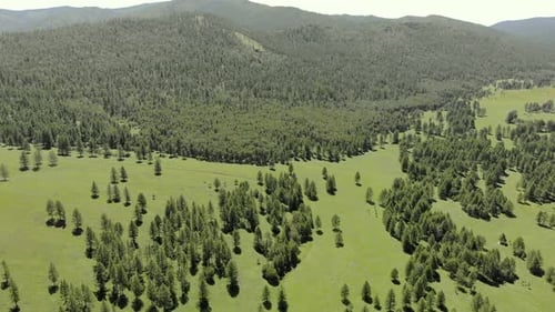 Grüne Wiesen in den spärlich bewaldeten zwischen waldbedeckten Hügeln mit Luftaufnahme
