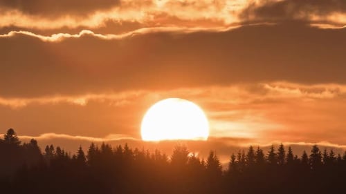 Follow The Sun