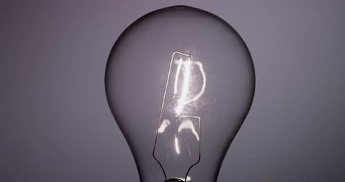 Light Bulb
