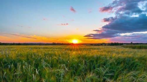 Sunset Land