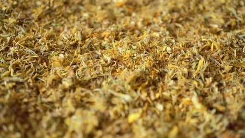 Rotating Medical Marigold Calendula 2