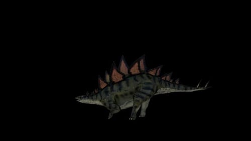 Dinosaur Stegosaurus Run